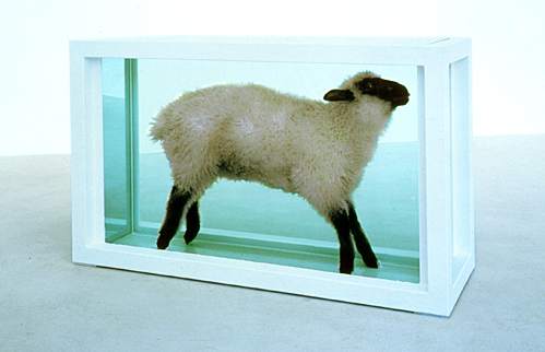 Damien Hirst, 1994, "Away from the Flock."
    	Lamb, Steel, Glass, Formaldehyde solution