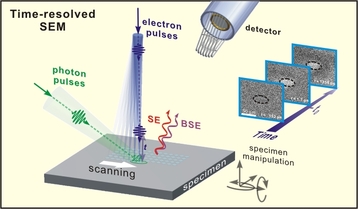 time-resolved SEM