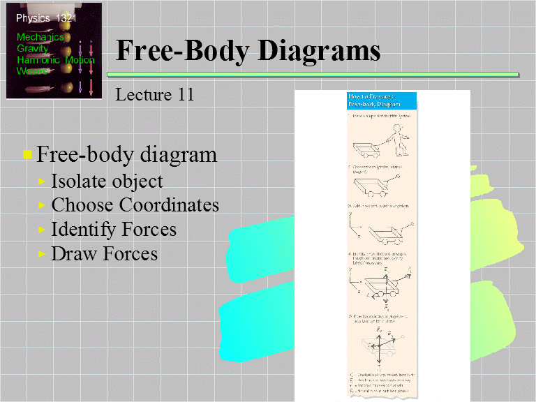 activity 2.1.3 free body diagrams